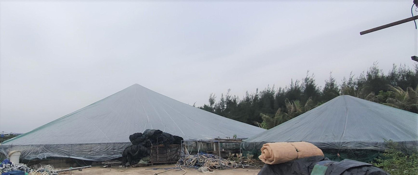 Theo ông Nhượng, việc phủ kiến nilon sẽ giữ nhiệt độ trong vuông tôm ở mức cao hơn ngoài trời khoảng 3 - 5 độ C.