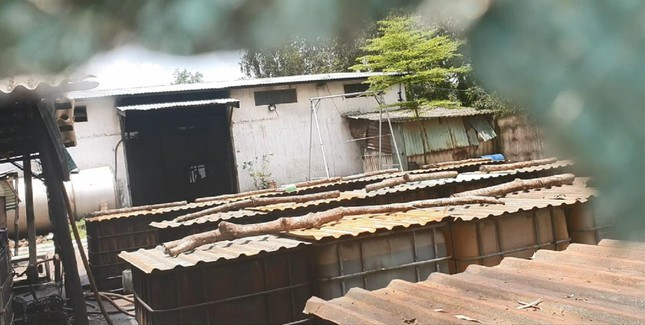 Cơ sở tái chế dầu thải của ông Phương gây ô nhiễm, nhức nhối ở Tân Thông Hội huyện Củ Chi