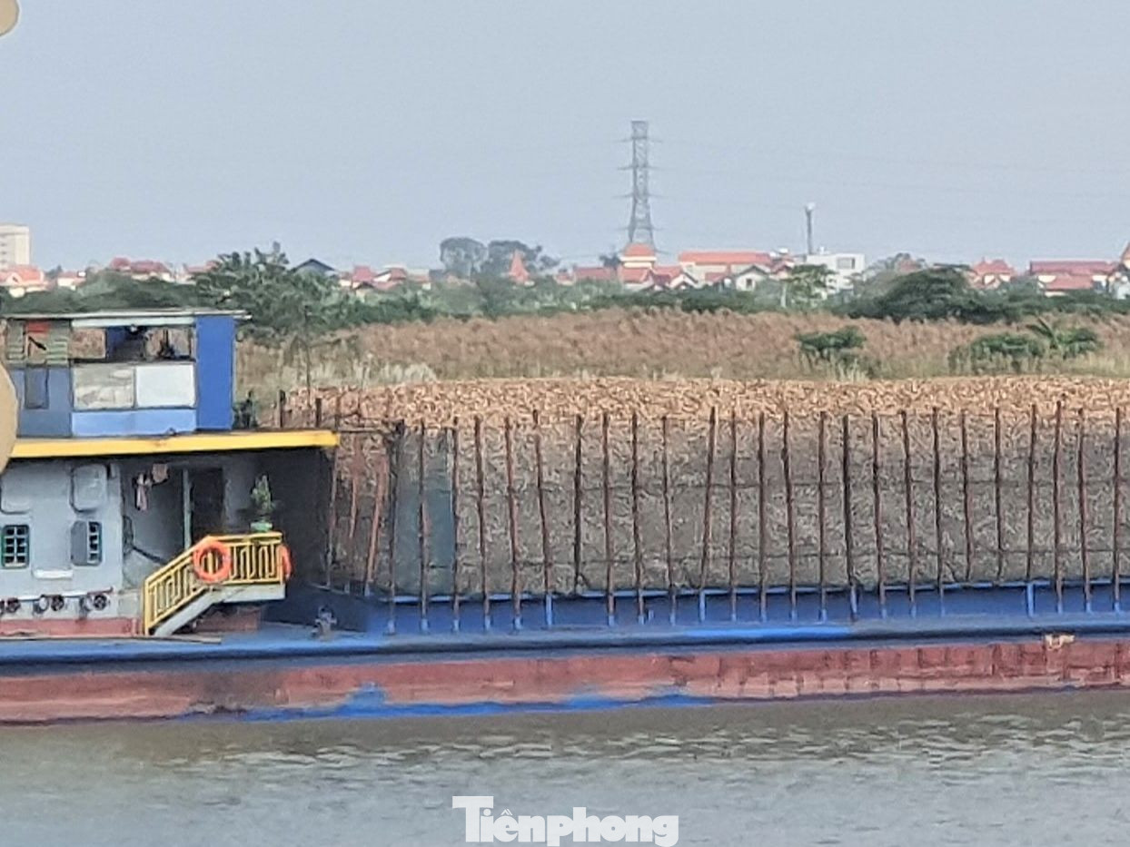 Công ty Nam Phương mua dăm gỗ của người dân các tỉnh Hòa Bình, Ninh Bình, Phú Thọ để xuất khẩu. Ảnh Long Vân Công ty Nam Phương mua dăm gỗ của người dân các tỉnh Hòa Bình, Ninh Bình, Phú Thọ để xuất khẩu. Ảnh Long Vân