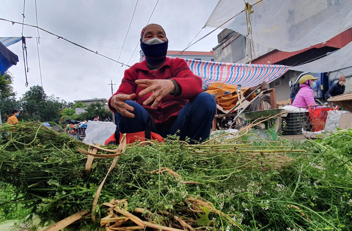 Cây mùi được chọn để nấu nước tắm phải là loại mùi già đã trổ hoa, kết trái, thân cây đã chuyển từ màu xanh sang nâu tía thì khi đun lên cho mùi thơm ngan ngát, cay cay, rất riêng biệt. Cây mùi được chọn để nấu nước tắm phải là loại mùi già đã trổ hoa, kết trái, thân cây đã chuyển từ màu xanh sang nâu tía thì khi đun lên cho mùi thơm ngan ngát, cay cay, rất riêng biệt.