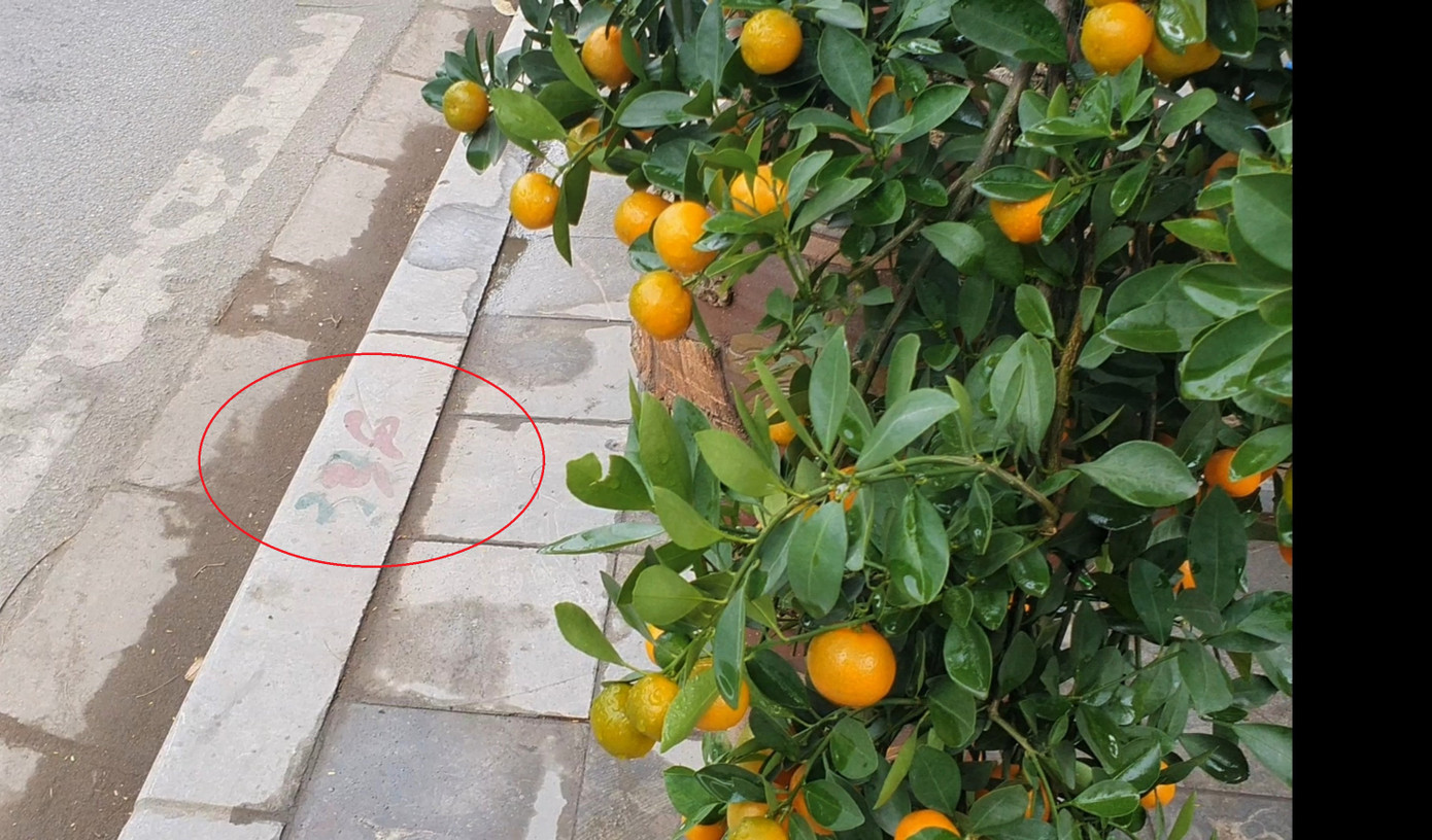 Vỉa hè mặt đường Tố Hữu (phường Vạn Phúc) được đánh số cho thuê. Vỉa hè mặt đường Tố Hữu (phường Vạn Phúc) được đánh số cho thuê.