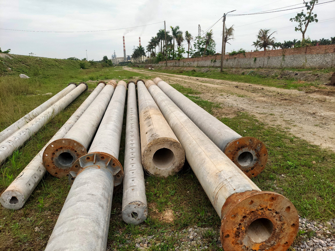 Sau khi được trồng, mười cột điện được thi công bằng hình thức móng cột đúc sẵn phải nhổ lên, di dời