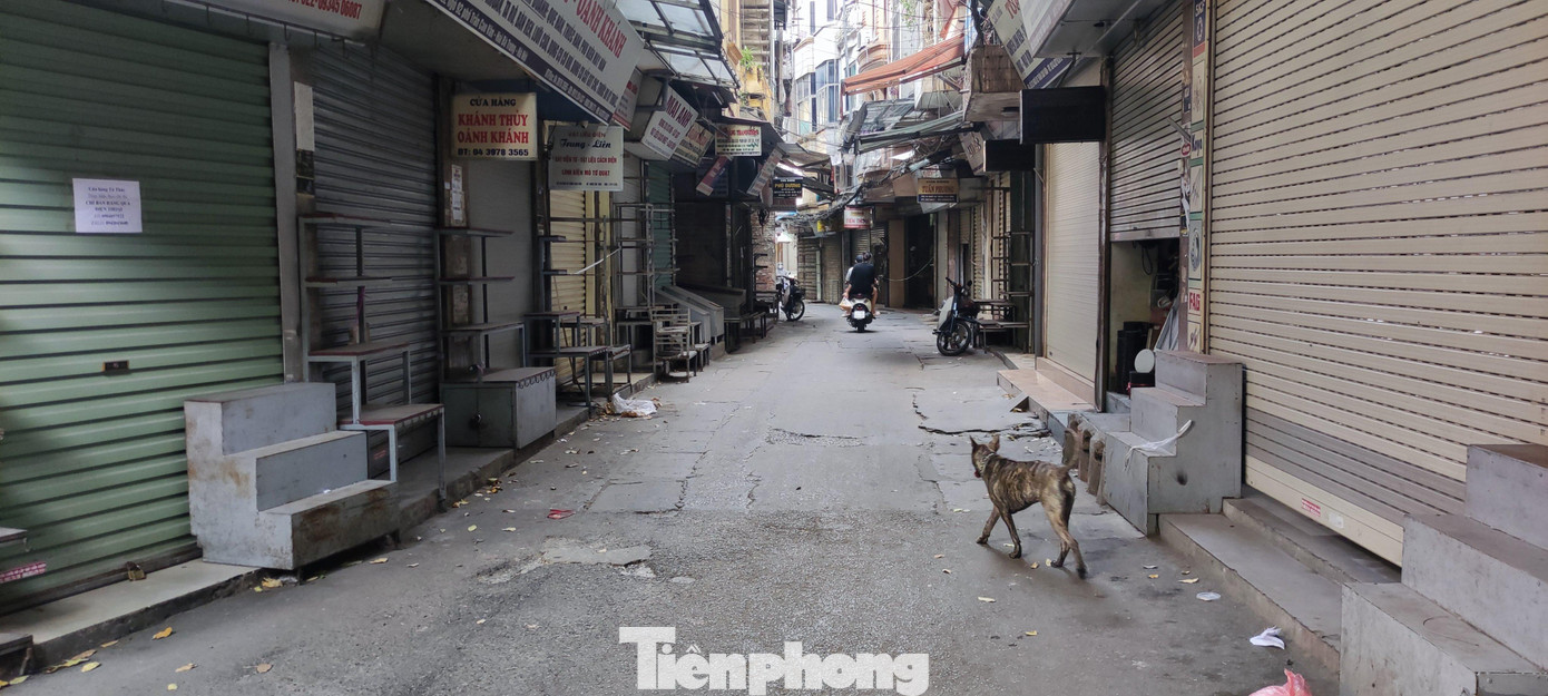 Tại đây có khoảng 1.000 hộ kinh doanh, dòng người mua bán nhộn nhịp bắt đầu từ 8 giờ đến 19 giờ hàng ngày. Tại đây có khoảng 1.000 hộ kinh doanh, dòng người mua bán nhộn nhịp bắt đầu từ 8 giờ đến 19 giờ hàng ngày.