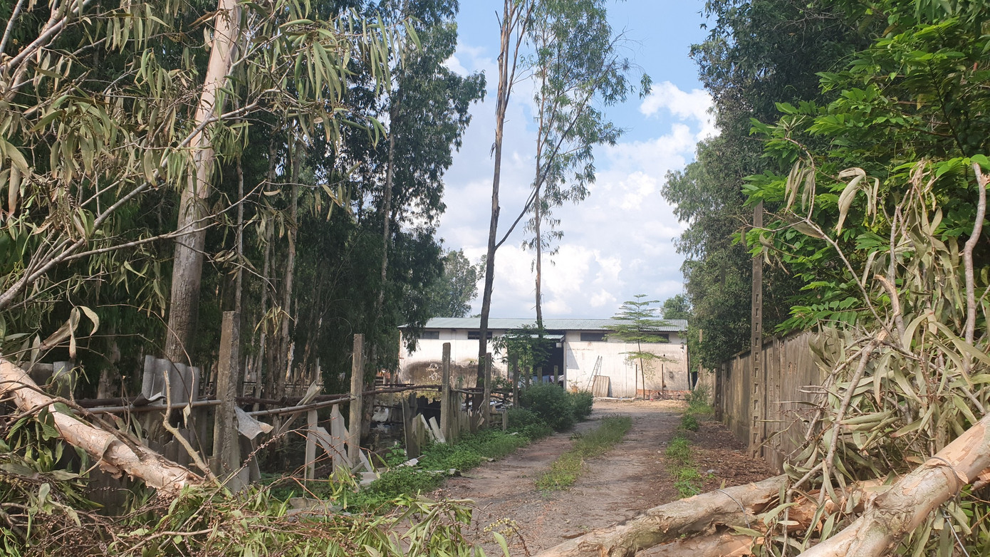 Chính quyền địa phương sẽ tiếp tục kiểm tra việc chấp hành của ông Phương, sẽ xử lý nghiêm nếu vị này tiếp tục vi phạm.