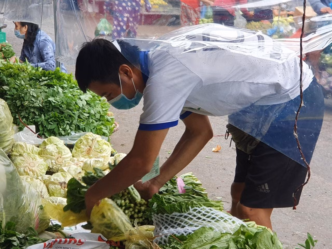Dù nhiều huyện Hà Nội đã là "vùng xanh" giá rau tương đối rẻ nhưng vẫn có những khó khăn nhất định trong khâu vận chuyển, tiêu thụ nông sản nên giá rau đến tay người tiêu dùng ở Hà Nội vẫn tương đối cao. Anh Nguyễn Hải Hưng ở xã Đại Thành (huyện Quốc Oai), bán rau ở chợ Đầu mỗi phía Nam (quận Hoàng Mai) nhiều năm cho biết, hôm nay việc đi lại thu gom rau và vận chuyển về chợ đầu mối bán đã thuận lợi, nguồn cung dồi dào. Dù nhiều huyện Hà Nội đã là "vùng xanh" giá rau tương đối rẻ nhưng vẫn có những khó khăn nhất định trong khâu vận chuyển, tiêu thụ nông sản nên giá rau đến tay người tiêu dùng ở Hà Nội vẫn tương đối cao. Anh Nguyễn Hải Hưng ở xã Đại Thành (huyện Quốc Oai), bán rau ở chợ Đầu mỗi phía Nam (quận Hoàng Mai) nhiều năm cho biết, hôm nay việc đi lại thu gom rau và vận chuyển về chợ đầu mối bán đã thuận lợi, nguồn cung dồi dào.