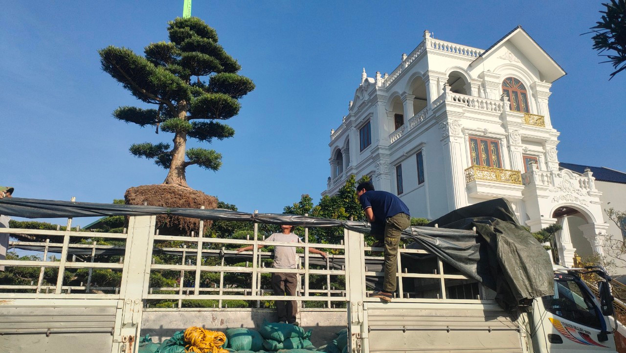 Kinh doanh qua mạng đã giúp các nhà vườn, người làm cây cảnh duy trì kết nối với nhiều khách hàng hiện tại và cả các khách hàng tiềm năng mới mà họ chưa hề gặp mặt. Kinh doanh qua mạng đã giúp các nhà vườn, người làm cây cảnh duy trì kết nối với nhiều khách hàng hiện tại và cả các khách hàng tiềm năng mới mà họ chưa hề gặp mặt.