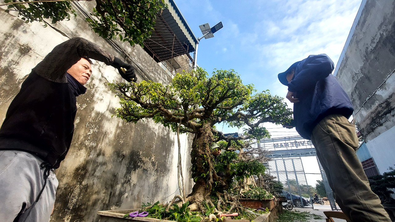 Người làm nghề cây cảnh ở Điền Xá những năm gần đây đã nhanh chóng chuyển đổi, phát triển bán hàng công nghệ trên các nền tảng mạng xã hội như Facebook, Zalo, Youtube. Người làm nghề cây cảnh ở Điền Xá những năm gần đây đã nhanh chóng chuyển đổi, phát triển bán hàng công nghệ trên các nền tảng mạng xã hội như Facebook, Zalo, Youtube.