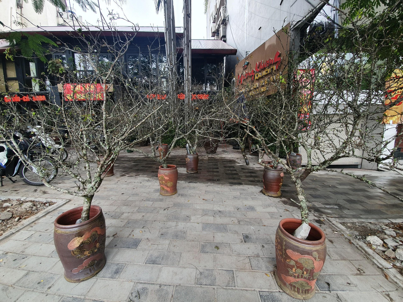 Mỗi cành mận ở đây được tiểu thương chào giá trung bình từ 800.000 đồng - 4 triệu đồng. Mỗi cành mận ở đây được tiểu thương chào giá trung bình từ 800.000 đồng - 4 triệu đồng.