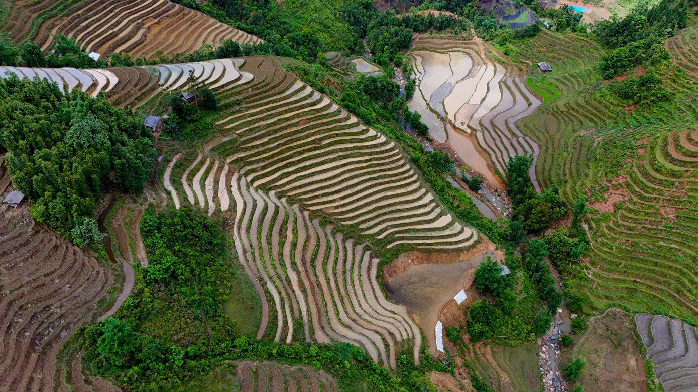 Nước từ các khe suối đầu nguồn được người dân dẫn về từng bậc ruộng, làm ngập mặt đất vừa được cày ải, tạo thành những tấm gương lớn phản chiếu bầu trời.