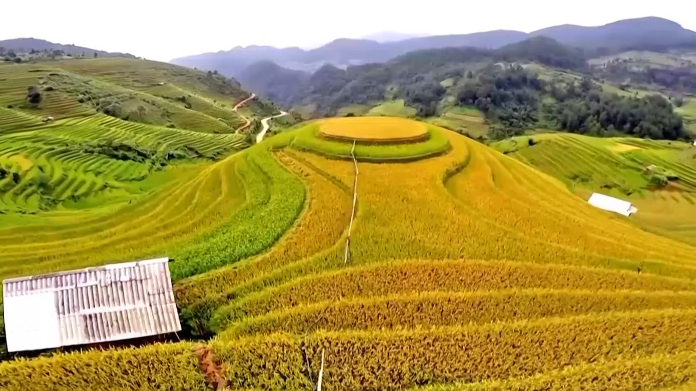 Sáu tháng đầu năm 2025, tổng lượng khách du lịch đến Lào Cai đạt 7,3 triệu lượt, tổng thu hơn 21.000 tỷ đồng.