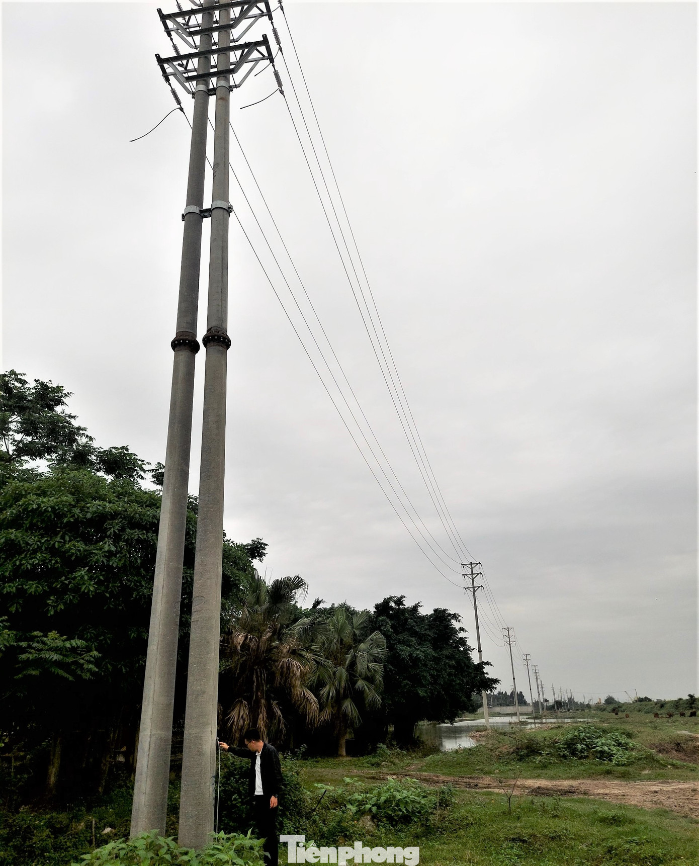 Đây là gói thầu nằm trong tiểu Dự án "Mở rộng và cải tạo lưới điện trung hạ áp tỉnh Ninh Bình" với tổng vốn đầu tư là khoảng 132 tỷ đồng. Đây là gói thầu nằm trong tiểu Dự án "Mở rộng và cải tạo lưới điện trung hạ áp tỉnh Ninh Bình" với tổng vốn đầu tư là khoảng 132 tỷ đồng.