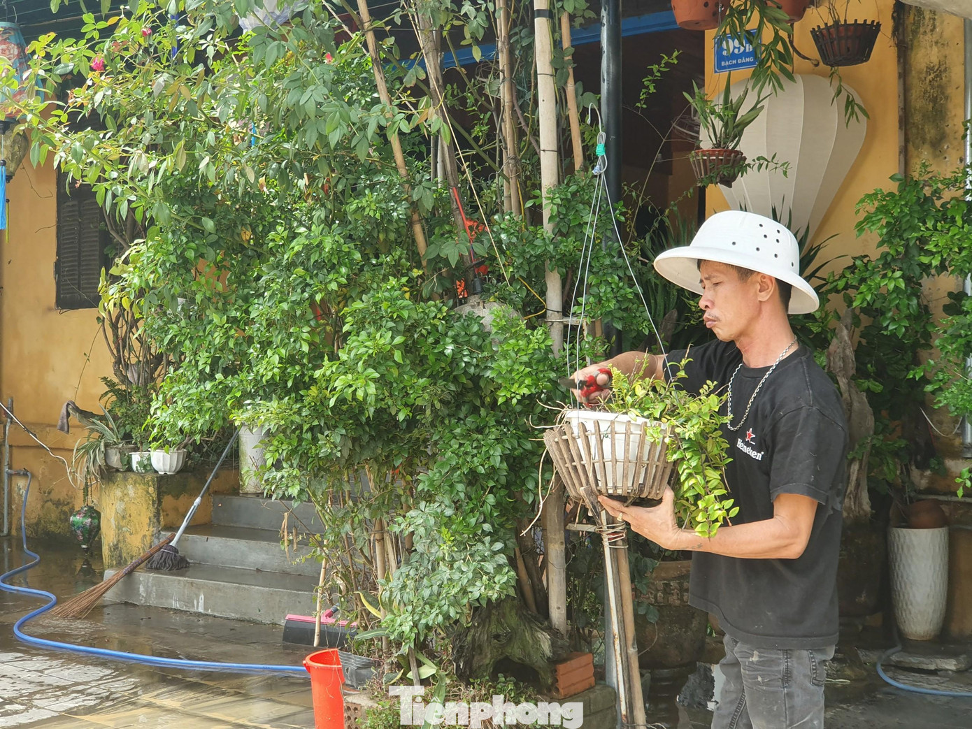 Cắt tỉa cây cối, trang trí lại hàng quán