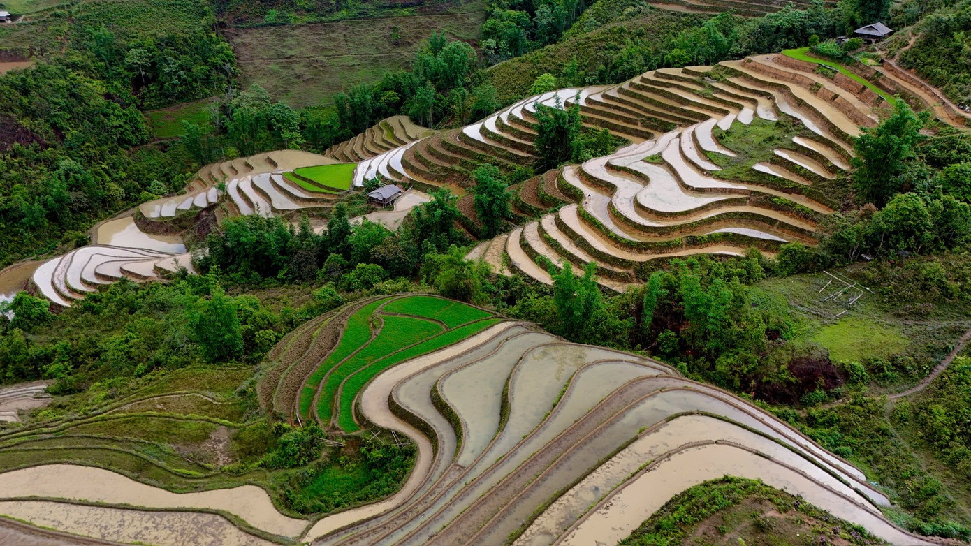 Những năm gần đây, Thải Giàng Phố trở thành điểm đến được nhiều du khách để chiêm ngưỡng mùa nước đổ. Ngoài ngắm ruộng bậc thang, du khách còn có thể trải nghiệm cấy lúa cùng người dân, bắt cá suối, hay nghỉ đêm tại các homestay giữa thung lũng yên bình.