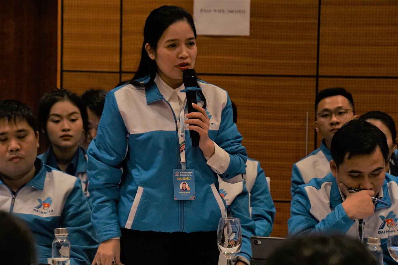 Chị Đinh Thị Hoàn, Phó Bí thư Tỉnh Đoàn Thái Bình Chị Đinh Thị Hoàn, Phó Bí thư Tỉnh Đoàn Thái Bình