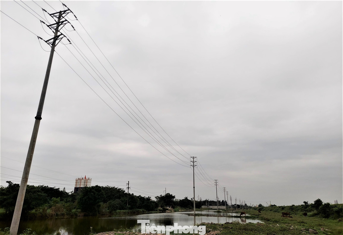 Tuyến đường dây 22kV thuộc gói thầu xây lắp đường dây và trạm biến áp cho các xã phường huyện Yên Khánh, Tam Điệp và Kim Sơn (tỉnh Ninh Bình). Tuyến đường dây 22kV thuộc gói thầu xây lắp đường dây và trạm biến áp cho các xã phường huyện Yên Khánh, Tam Điệp và Kim Sơn (tỉnh Ninh Bình).