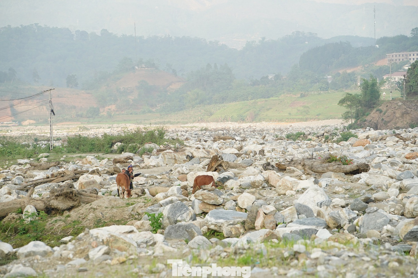 Ngoài hỗ trợ của UBND xã và các cấp ngành, người dân thuê máy xúc về san gạt lớp đất đá và lấy đất từ nơi khác về để đắp vào ruộng.