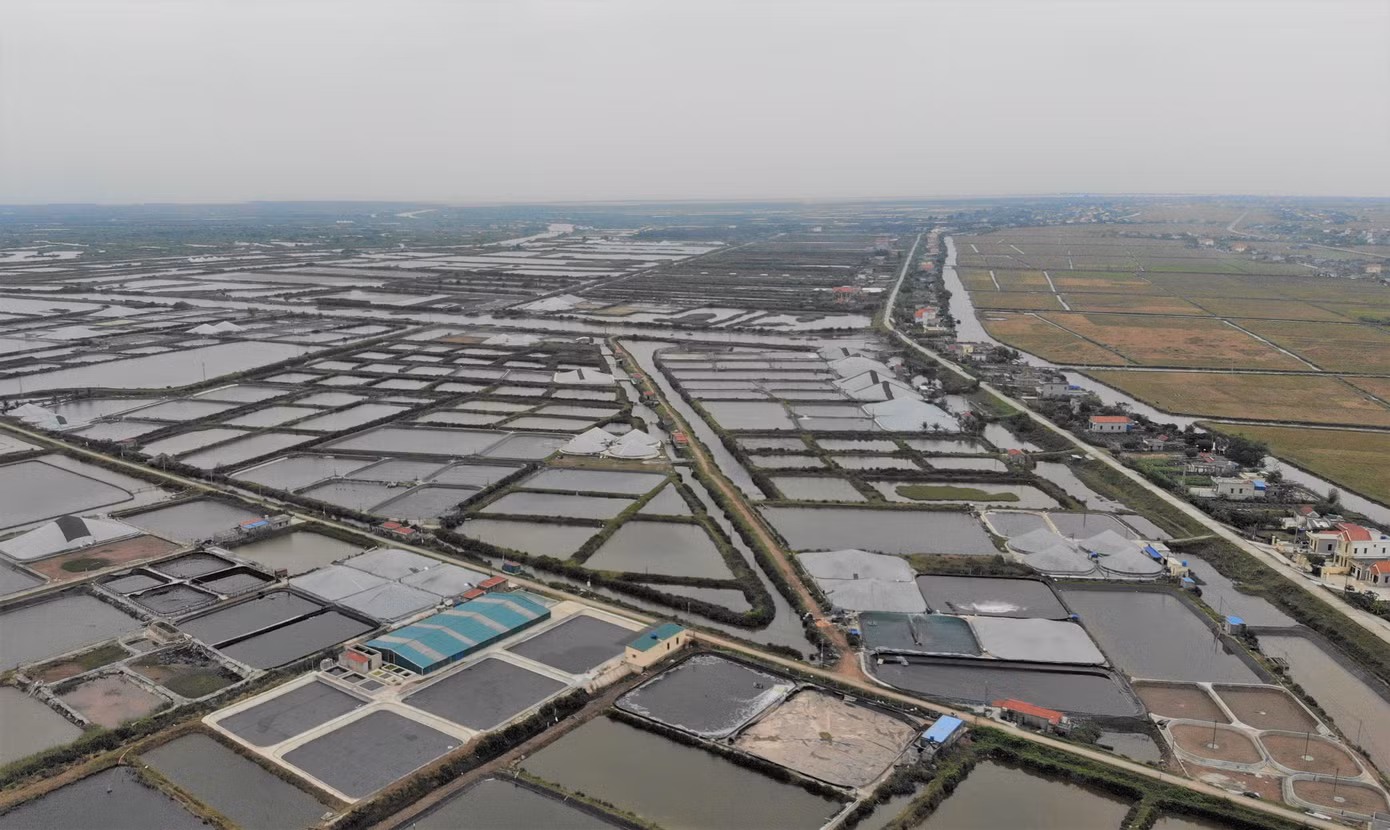 Là một trong 5 xã thuộc vùng đệm Vườn Quốc gia Xuân Thủy, xã Giao Thiện có tổng diện tích nuôi thủy sản là hơn 1000 ha, trong đó có 150 ha thuộc vùng chuyển đổi nuôi tôm công nghiệp.