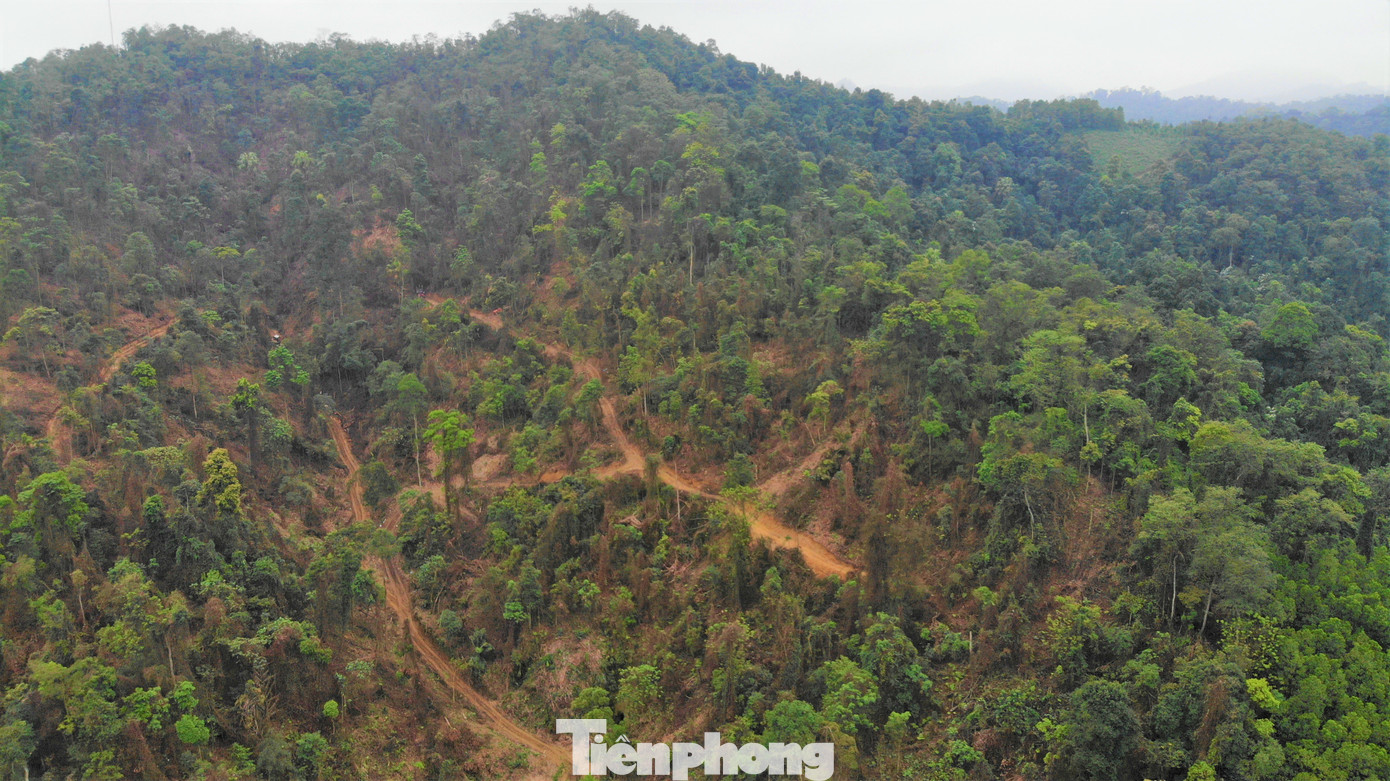 Nhiều héc ta rừng tự nhiên Ba Bố nằm giữa hai thôn Nà Tùm và Cốc Thử xã Ngọc Phái, huyện Chợ Đồn, Bắc Kạn bị chặt hạ trong nhiều ngày