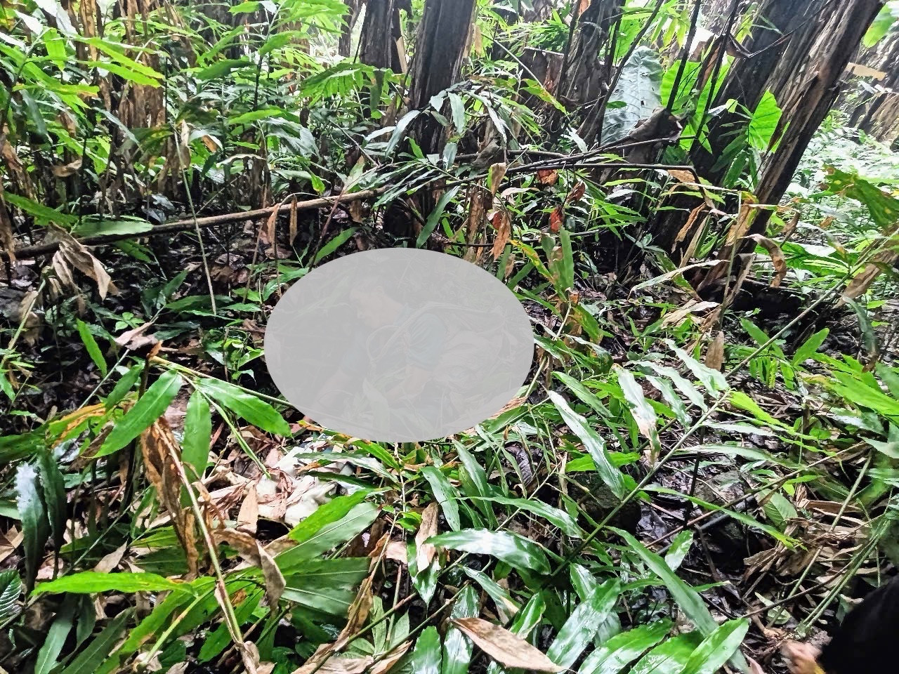 Hiện trường vụ giết người tại xã Tả Phời (thành phố Lào Cai). Ảnh: Thanh Tuấn