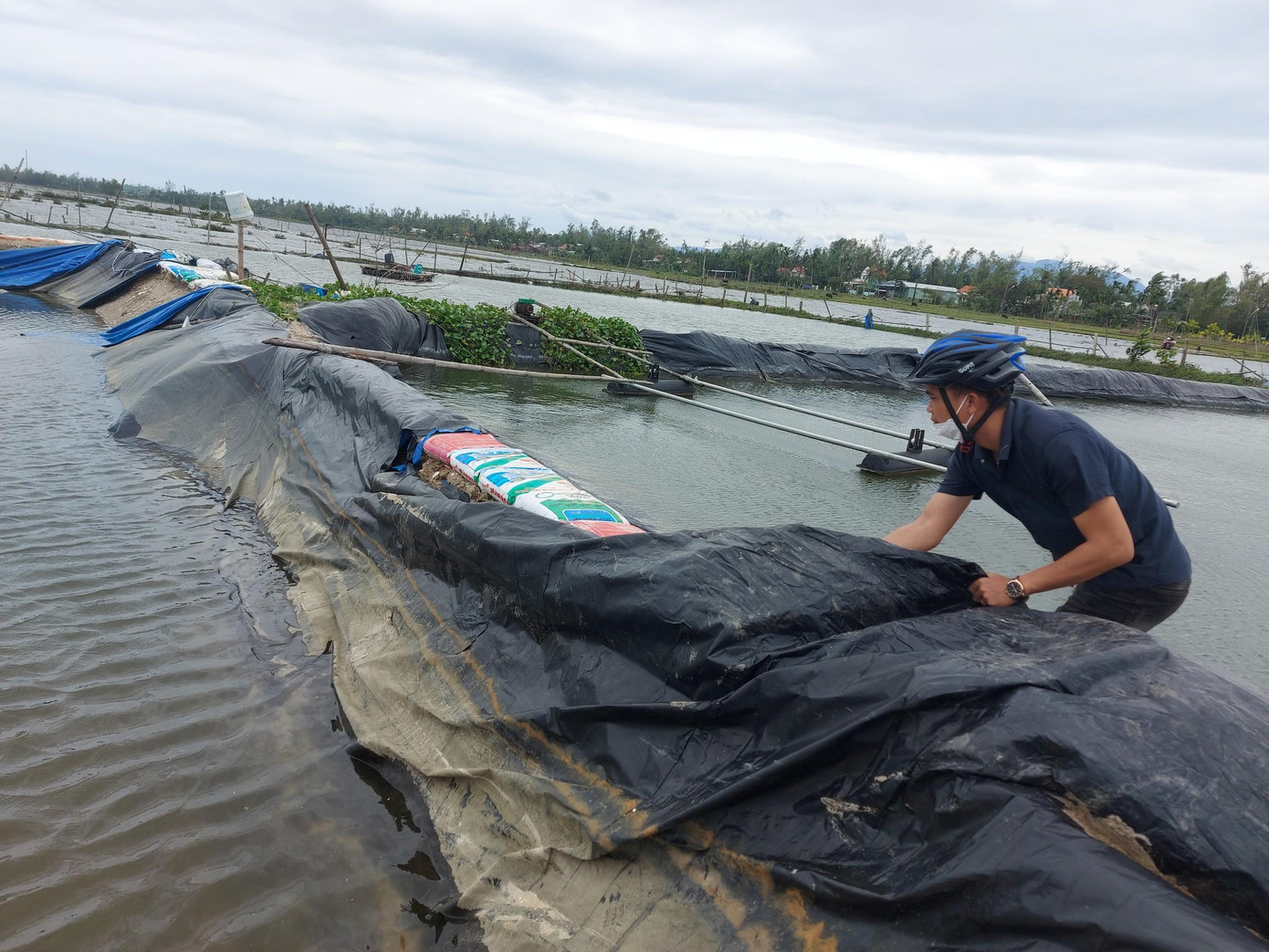 Anh Ring xót ruột, chạy xuống lật từng tấm bạt, lắc đầu ngao ngán: “Mất hết rồi, bờ lở, bạt rách hết rồi."