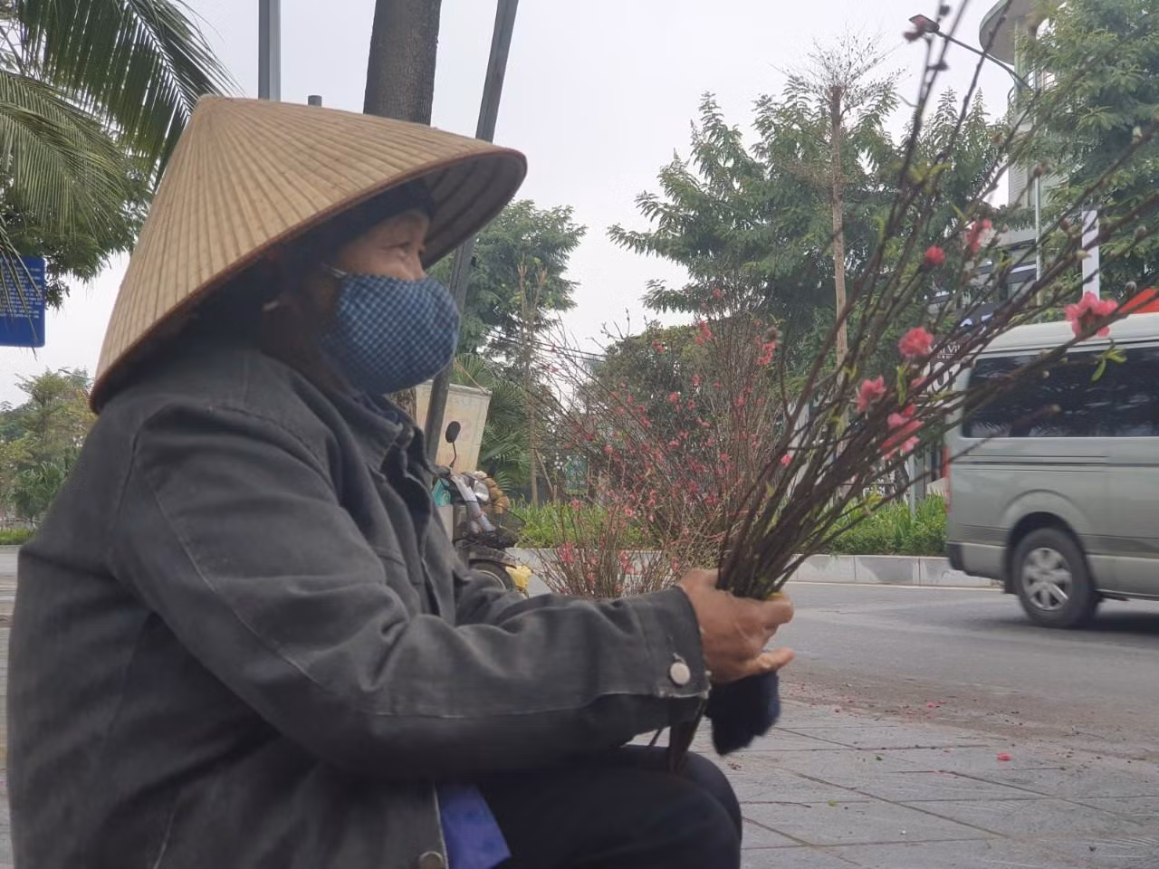 Trên các tuyến phố Hà Nội cũng xuất hiện nhiều người bán đào nhánh.