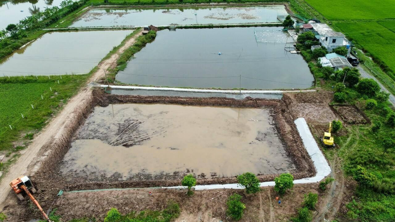 Hộ ông Trần Văn Tụy khai thác hàng vạn mét khối đất nông nghiệp đi bán suốt cả năm qua, khiến mặt bằng đất canh tác bị phá vỡ