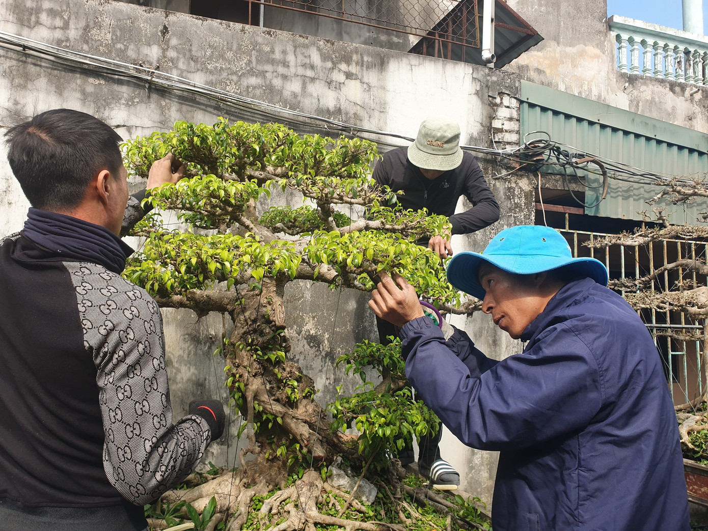 Người có thu nhập cao ngoài chịu khó, tỉ mỉ đòi hỏi phải có năng lực và khả năng thẩm mỹ. Người có thu nhập cao ngoài chịu khó, tỉ mỉ đòi hỏi phải có năng lực và khả năng thẩm mỹ.