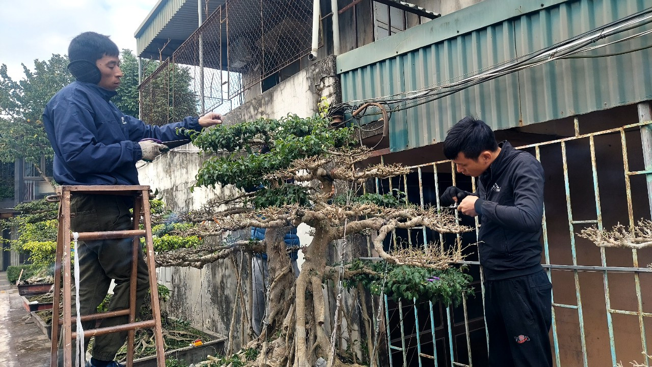 Kể cả những người phụ nữ tuổi cao cũng có những việc phù hợp như cắt cỏ, dọn vườn… đều kiếm vài trăm nghìn mỗi ngày Kể cả những người phụ nữ tuổi cao cũng có những việc phù hợp như cắt cỏ, dọn vườn… đều kiếm vài trăm nghìn mỗi ngày