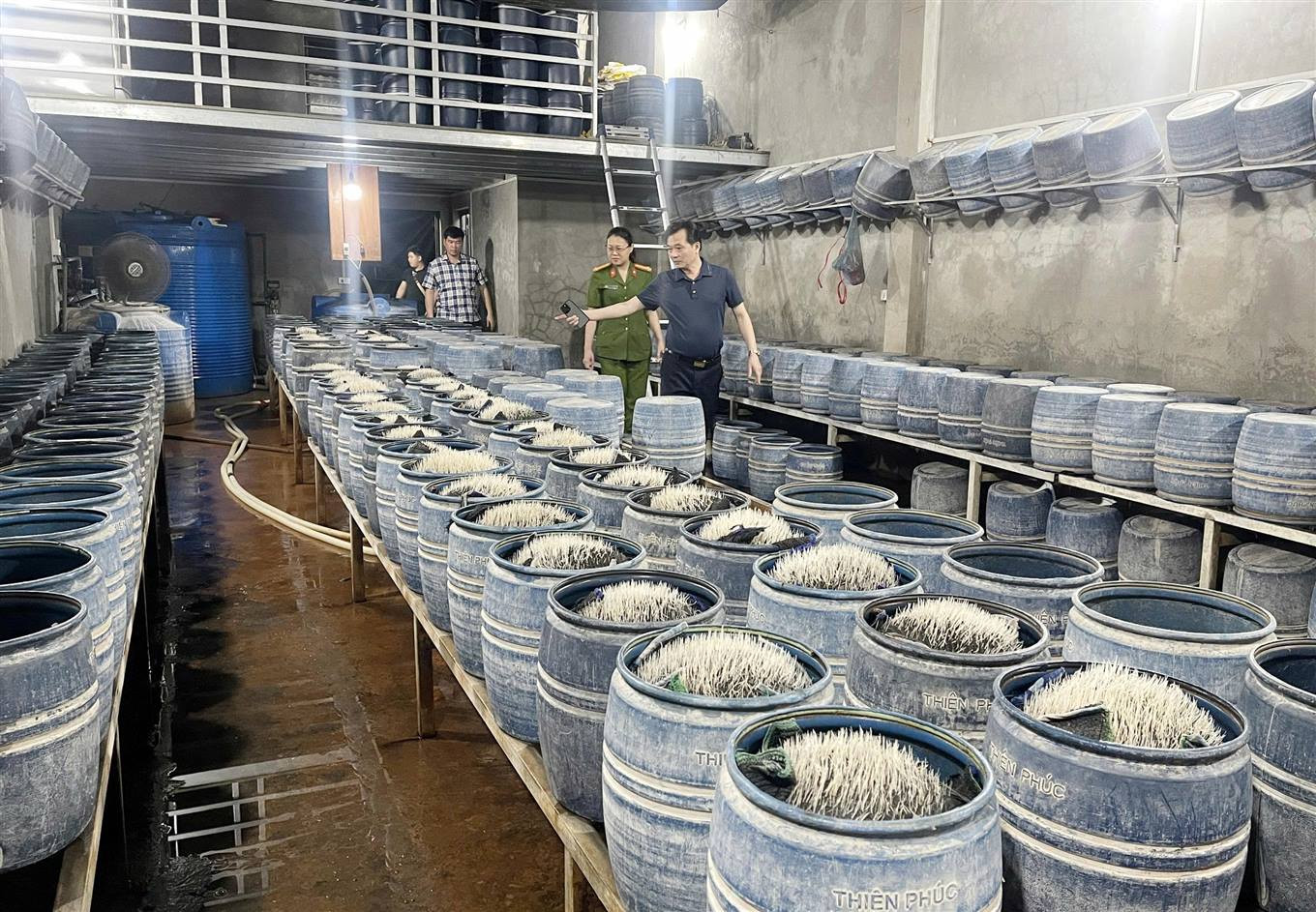 Các cơ sở này dùng hóa chất độc hại để sản xuất hàng trăm tấn giá đỗ bán ra thị trường. Ảnh: Tống Huệ