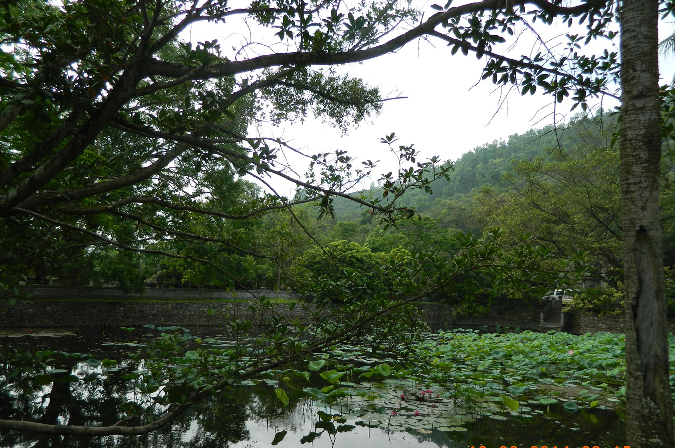 Ngày 28/7/2003, Chủ tịch UBND tỉnh Thanh Hóa đã có thông báo về việc lập quy hoạch và dự án đầu tư tôn tạo di tích Bà Triệu. Năm 2005, dự án được phê duyệt và tiến hành thi công. Đến năm 2008, công trình hoàn thành và đưa vào sử dụng. Khu di tích đền Bà Triệu đã được xếp hạng là di tích quốc gia đặc biệt của Việt Nam vào năm 2014. Trong ảnh là hồ nước có kích thước chiều rộng 29,8m, dài 42,2m, xung quanh ba mặt được xây lan can thấp bằng đá; các trụ đá có hình thức kiến trúc hình trụ, tường gắn hoa chanh bằng gốm.