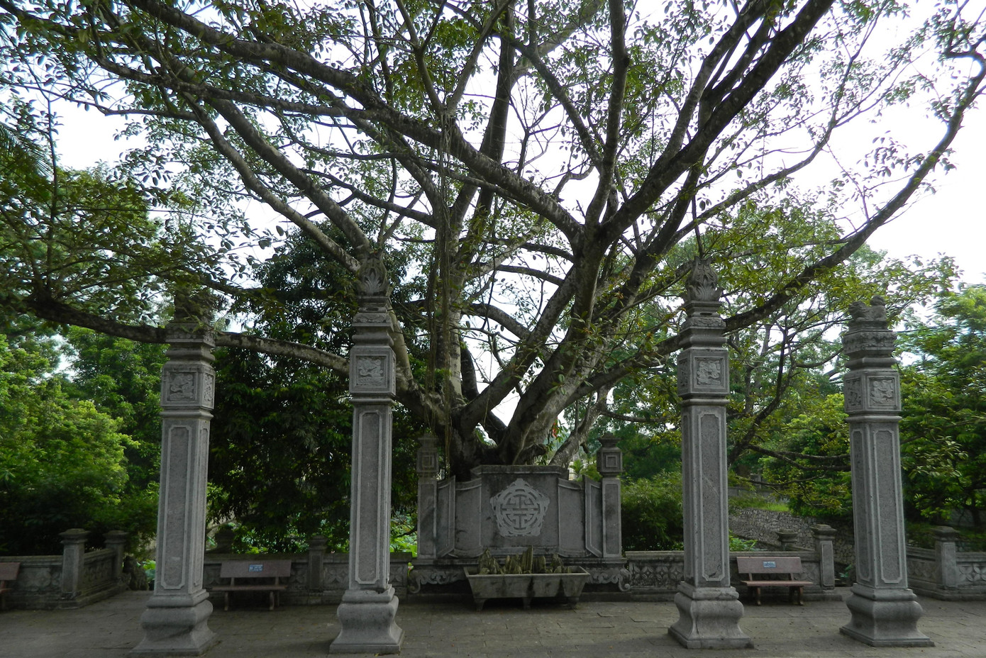 Theo truyền thuyết, sau khi Bà Triệu mất, nhân dân làng Phú Điền (xã Triệu Lộc, huyện Hậu Lộc, Thanh Hóa) đã xây dựng đền thờ bà ở sườn núi Gai bằng tranh tre nứa lá để thờ phụng, tưởng nhớ công đức. Qua nhiều giai đoạn lịch sử, đền được tu bổ, mở mang. Hiện nay, từ ngoài vào trong đền có các hạng mục: Cổng tứ trụ, hồ chữ nhật, bình phong, tiền đường (hai bên có nhà tả vu và hữu vu), trung đường và hậu cung. Trong ảnh là tấm bình phong lớn bằng đá nguyên khối, tạo tác theo hình cuốn thư. Sau bình phong là nghi môn trung, kiến trúc kiểu tứ trụ truyền thống.