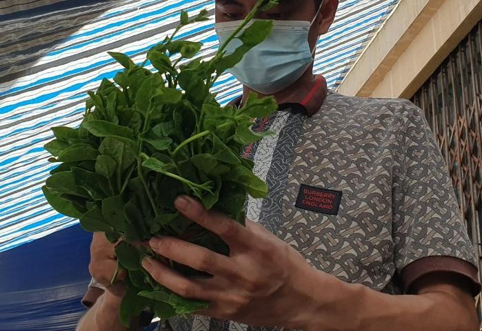 Anh Văn Đình Sơn ở xã Vân Tảo (huyện Thường Tín) cho biết, gia đình thu gom rau của người dân trong xã rồi mang đi chợ bán. Anh Văn Đình Sơn ở xã Vân Tảo (huyện Thường Tín) cho biết, gia đình thu gom rau của người dân trong xã rồi mang đi chợ bán.