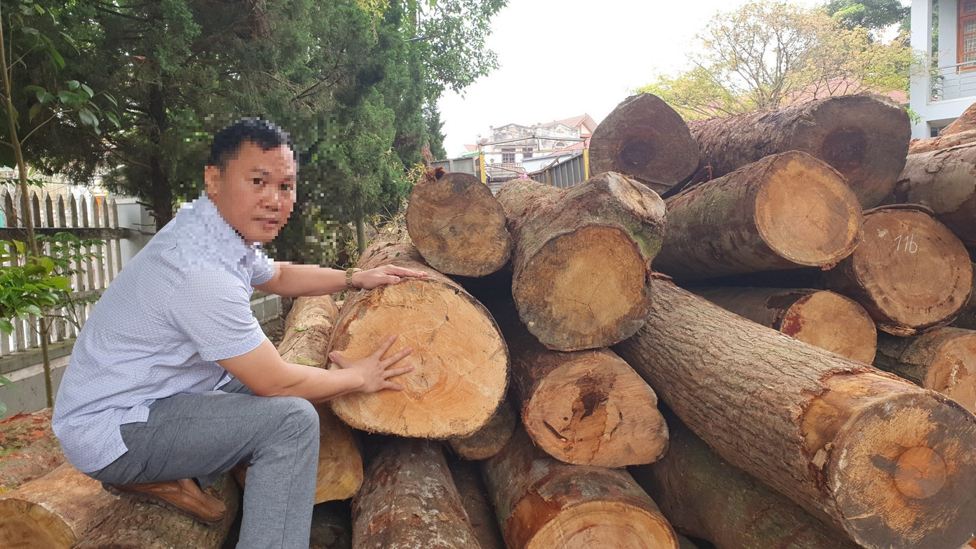 Gỗ được thu hồi về tập kết tại Hạt Kiểm lâm Chợ Đồn