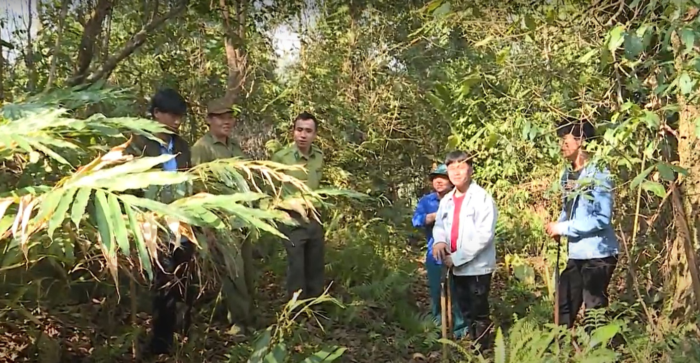 Gia đình anh Mã A Phình đã mạnh dạn đề xuất để được bảo vệ 30ha rừng.