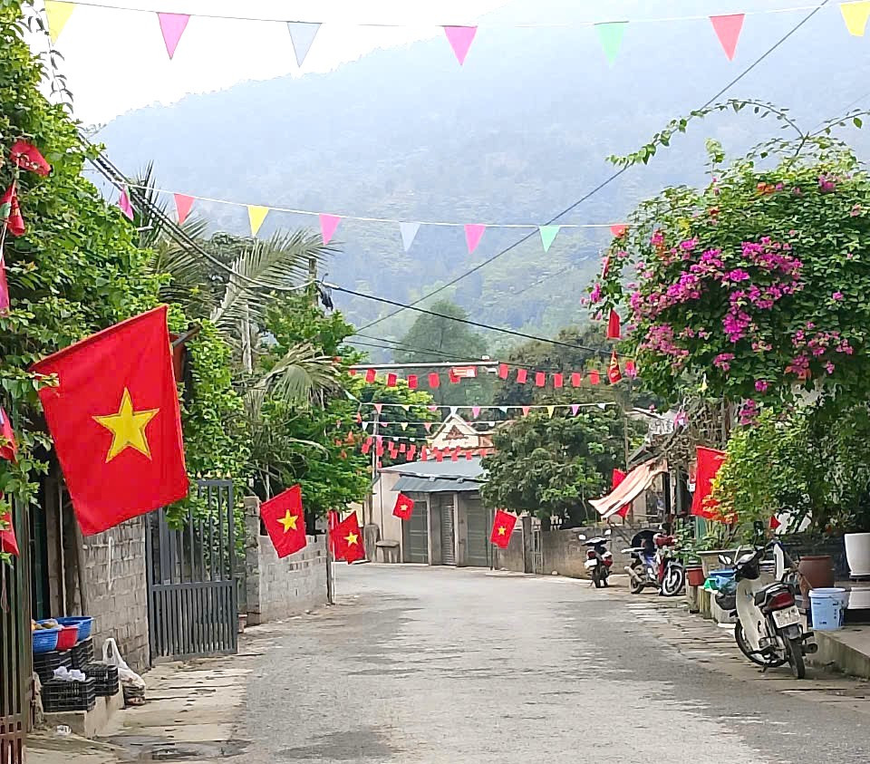 Trong các ngõ, xóm người dân treo cờ, tổ chức dọn dẹp đường phố, cắt tỉa cây xanh