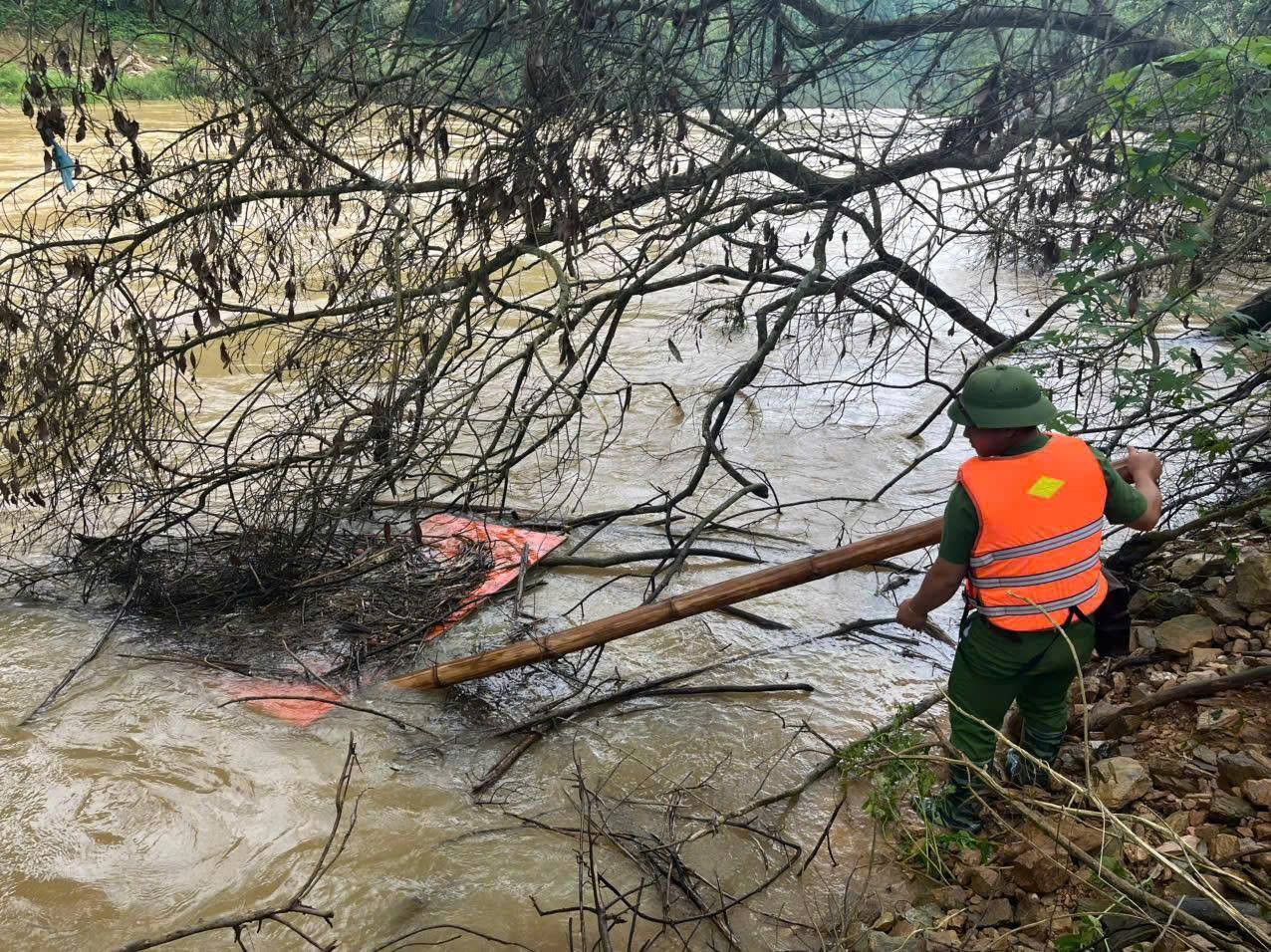 Lực lượng cứu hộ tổ chức tìm kiếm Lực lượng cứu hộ tổ chức tìm kiếm