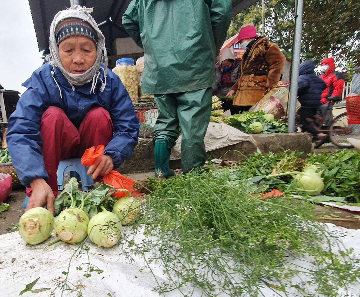 Góc chợ nào có người bán mùi già thơm lừng. Góc chợ nào có người bán mùi già thơm lừng.