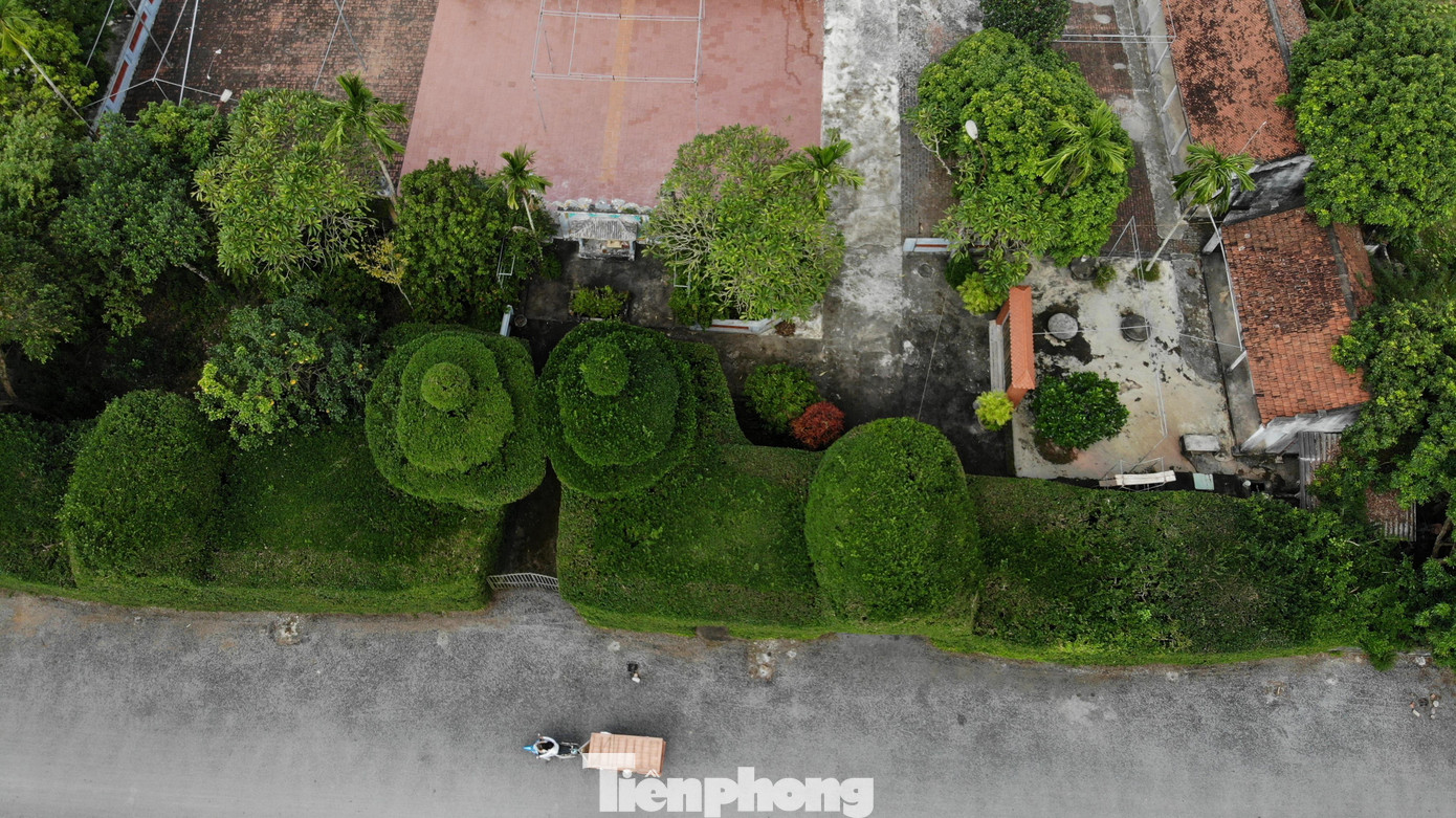 Đình Ruối được Bộ Văn hóa, Thể thao và Du lịch xếp hạng di tích lịch sử - văn hoá cấp quốc gia từ năm 1992.