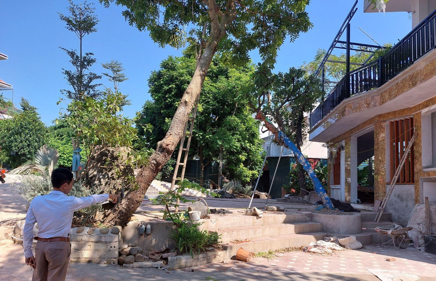 Đường gom lên cầu Văn Phương bị lấn chiếm để làm sân, trồng cây.