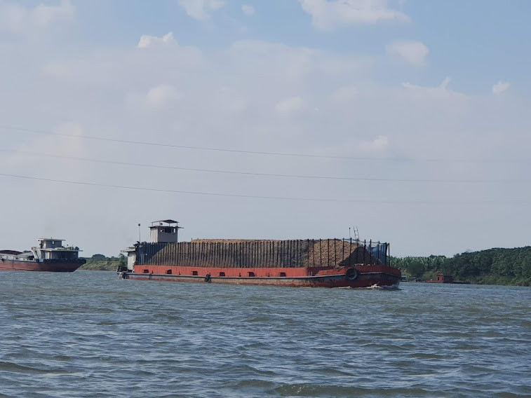 Công ty Nam Phương mua dăm gỗ của người dân các tỉnh Hòa Bình, Ninh Bình, Phú Thọ để xuất khẩu. Ảnh Long Vân