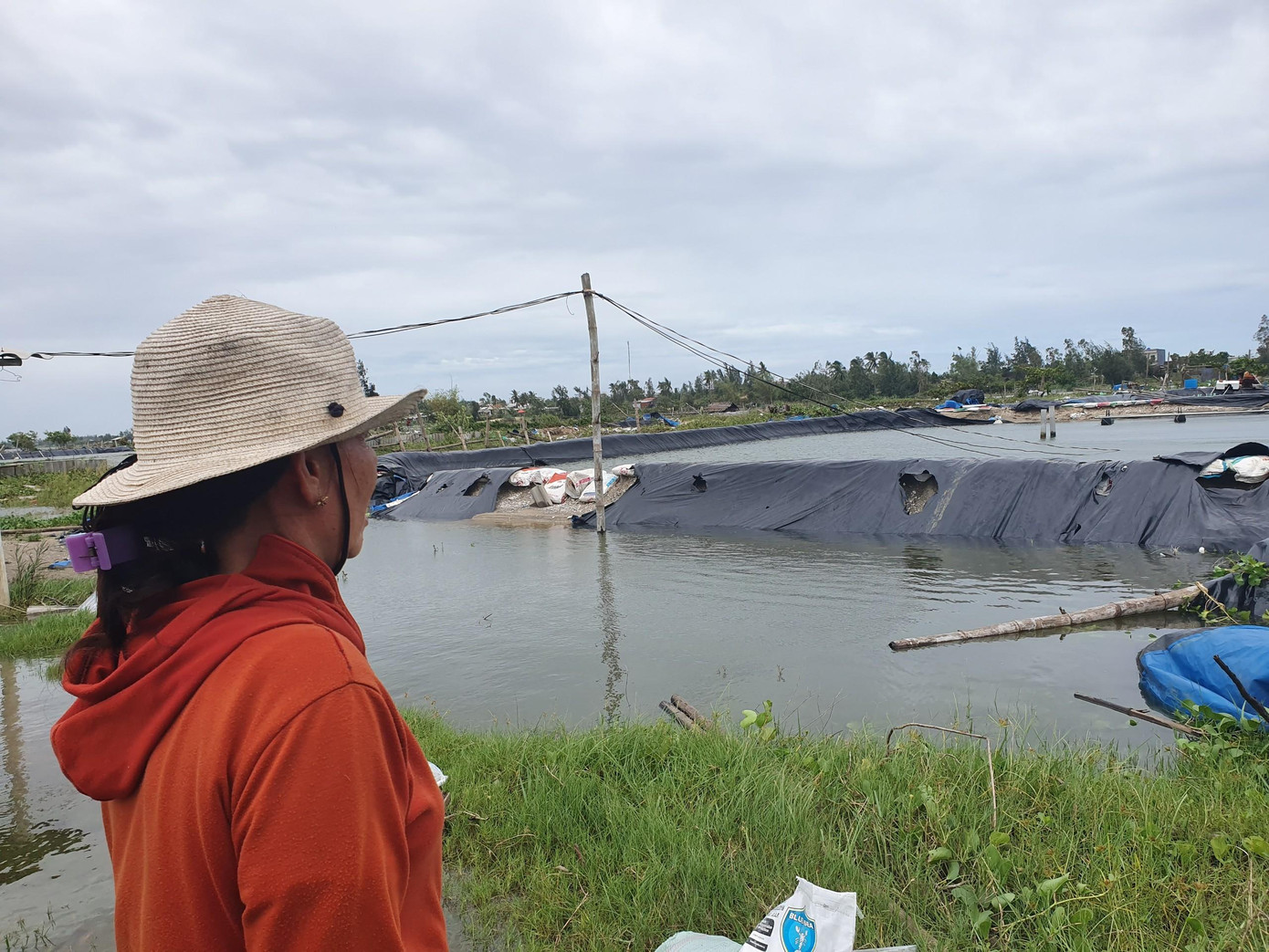 Bà Lê Thị Ánh Minh, 53 tuổi cùng thôn Long Thành cũng ra kiểm tra đầm tôm giống.