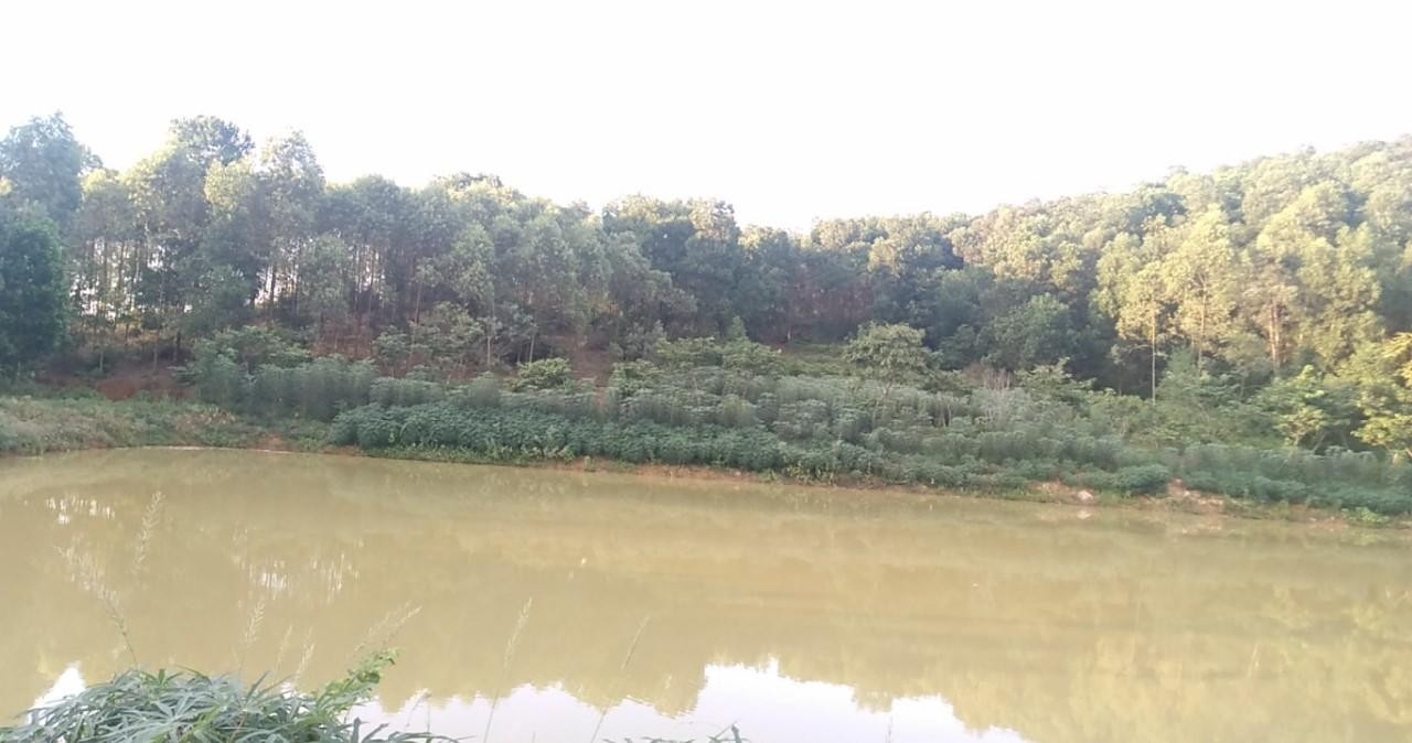 Một góc khu đất. Một góc khu đất.