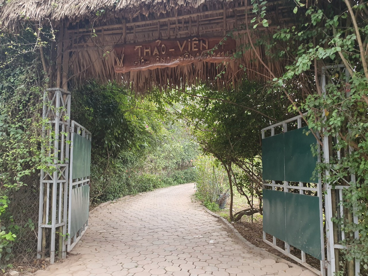 Thảo viên Gió sông Hồng gần đó cũng có nhiều khu nhà dựng bằng cột tre, nền lát gạch. Thảo viên Gió sông Hồng gần đó cũng có nhiều khu nhà dựng bằng cột tre, nền lát gạch.