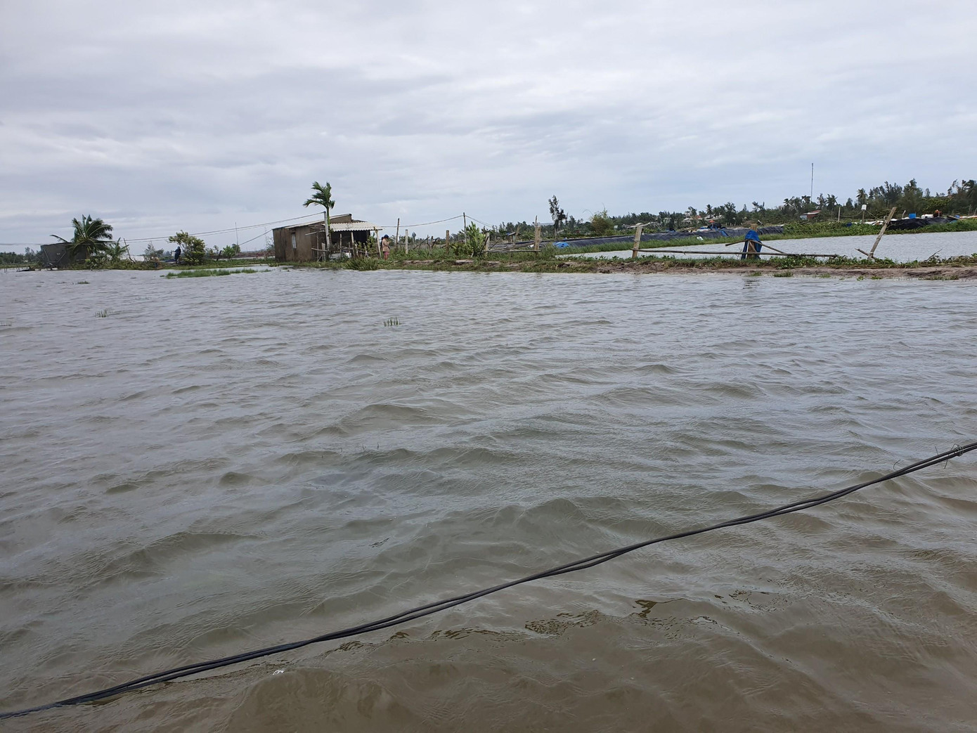 "Giờ phải chờ nước rút, làm lại hồ, thay bạt mới và mua giống thả từ đầu", anh Rinh cho biết.
