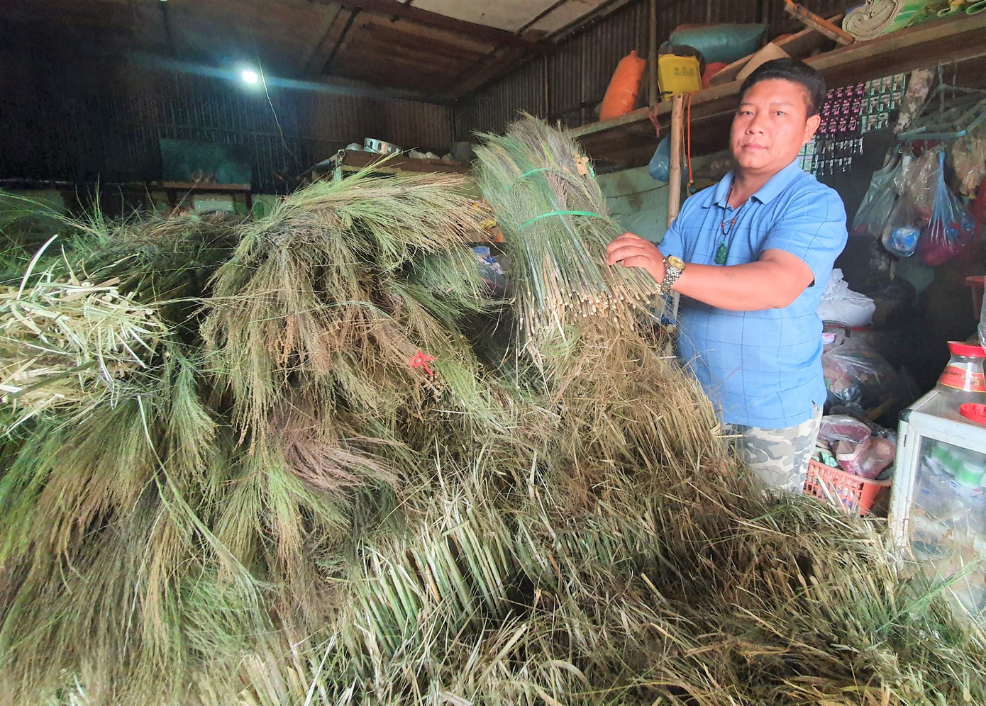 Anh Vàng Giá Chừ ở bản Nậm Xả