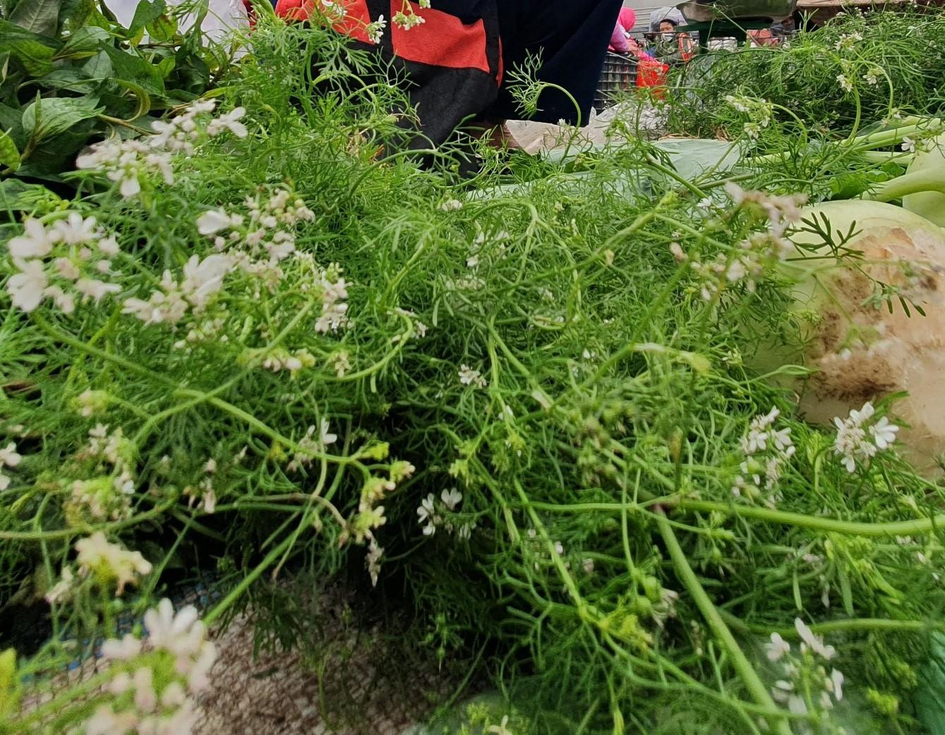 Chiều 29 Tết, sau khi dọn dẹp xong nhà cửa, bếp núc, năm nào chị cũng đun một nồi nước lá mùi thật to để cả nhà cùng tắm. Chiều 29 Tết, sau khi dọn dẹp xong nhà cửa, bếp núc, năm nào chị cũng đun một nồi nước lá mùi thật to để cả nhà cùng tắm.