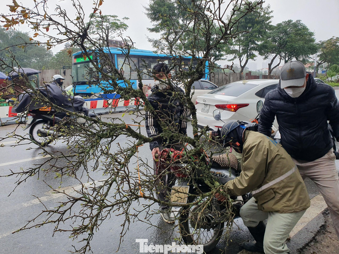 Có người chỉ xem lướt qua đã bỏ ra hàng triệu đồng để đưa cành lê về chơi Tết muộn.