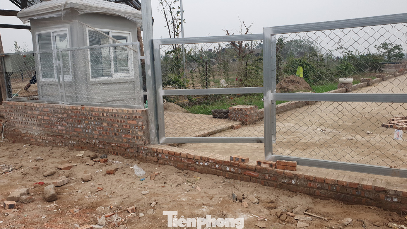 Theo một chuyến xe, chúng tôi có mặt tại một khu trang trại rộng chừng 3-5ha (trên bản đồ của Google được “ghim” là Trang trại ông Dẻo). Chiếc xe đầy ắp gạch đỏ phăng phăng theo đường đá rồi đổ xuống khu vực cạnh mép sông Hồng. Theo một chuyến xe, chúng tôi có mặt tại một khu trang trại rộng chừng 3-5ha (trên bản đồ của Google được “ghim” là Trang trại ông Dẻo). Chiếc xe đầy ắp gạch đỏ phăng phăng theo đường đá rồi đổ xuống khu vực cạnh mép sông Hồng.