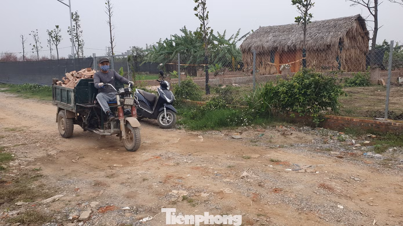 Hằng ngày, những chiếc “xe cóc” (xe ba bánh gắn thùng phía sau) len lỏi vận chuyển cát, gạch, xi măng đi phân phối khắp bãi sông Hồng.
