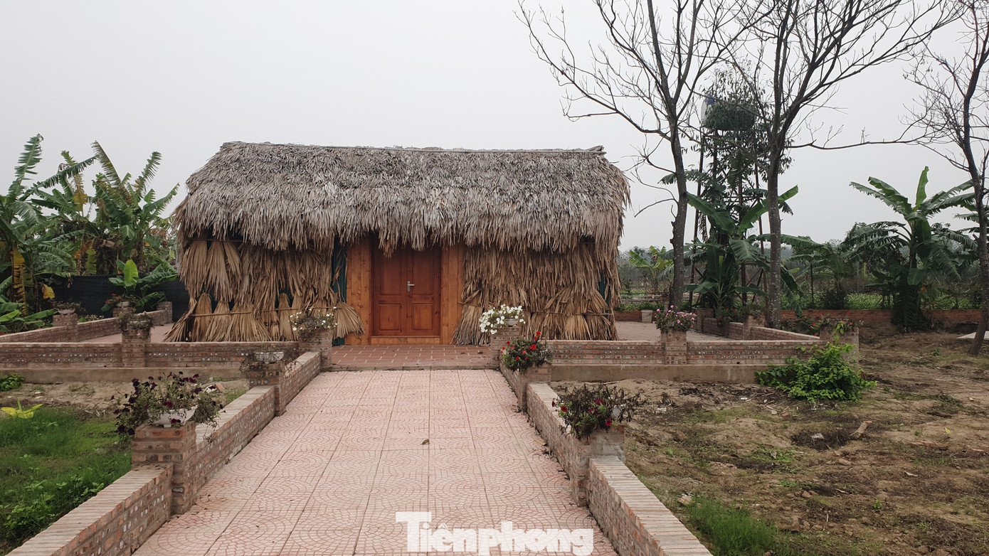 Giữa mỗi ô có cổng sắt mở vào một lối đi lát gạch, dẫn vào các căn nhà bằng tường gạch, lắp cửa gỗ, mái lợp lá. Dù “trang trại” này có gần 10 căn nhà tương tự, nhưng các xe cóc vẫn tiếp tục đưa vật liệu vào để xây dựng. Người dân xung quanh chỉ biết chủ khu vực này tên là Chiến, không biết thường trú ở đâu. Giữa mỗi ô có cổng sắt mở vào một lối đi lát gạch, dẫn vào các căn nhà bằng tường gạch, lắp cửa gỗ, mái lợp lá. Dù “trang trại” này có gần 10 căn nhà tương tự, nhưng các xe cóc vẫn tiếp tục đưa vật liệu vào để xây dựng. Người dân xung quanh chỉ biết chủ khu vực này tên là Chiến, không biết thường trú ở đâu.